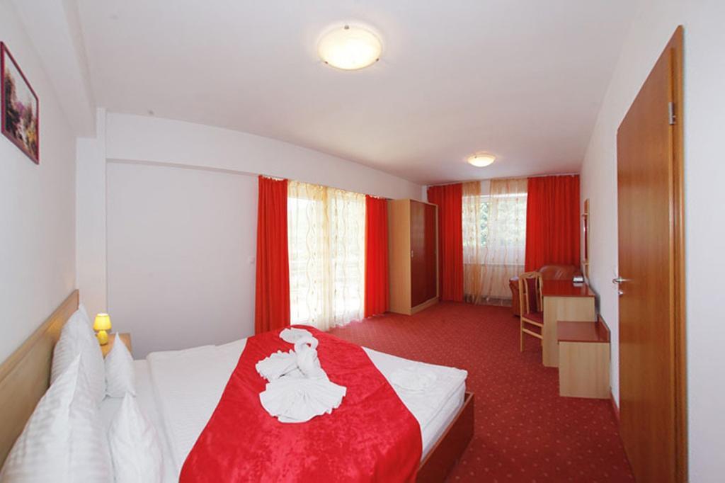 Hotel International Băile Herculane Rum bild