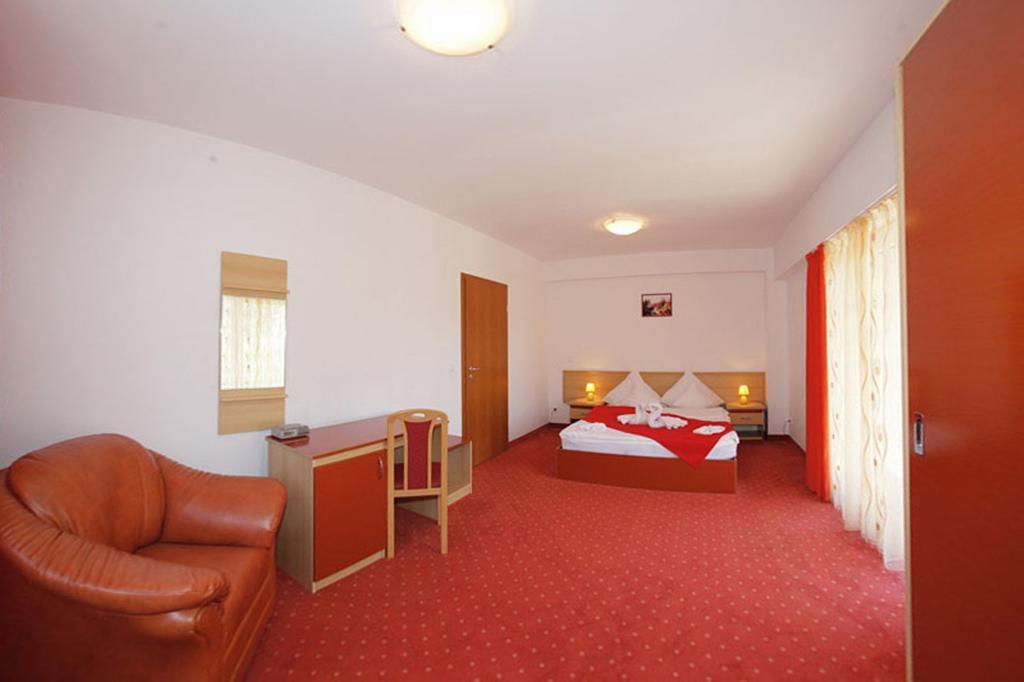 Hotel International Băile Herculane Rum bild
